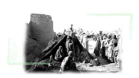وقایع اتفاقیه روستایی و کشاورزی در ایران معاصر (2)
