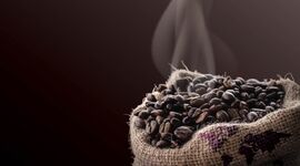 پنج تولید‌کننده عمده قهوه در جهان
