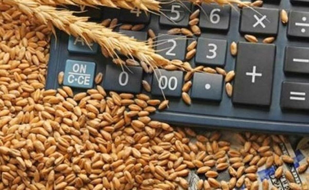 میزان خرید تضمینی گندم به ۱۱.۹۹۳ میلیون تن رسید

