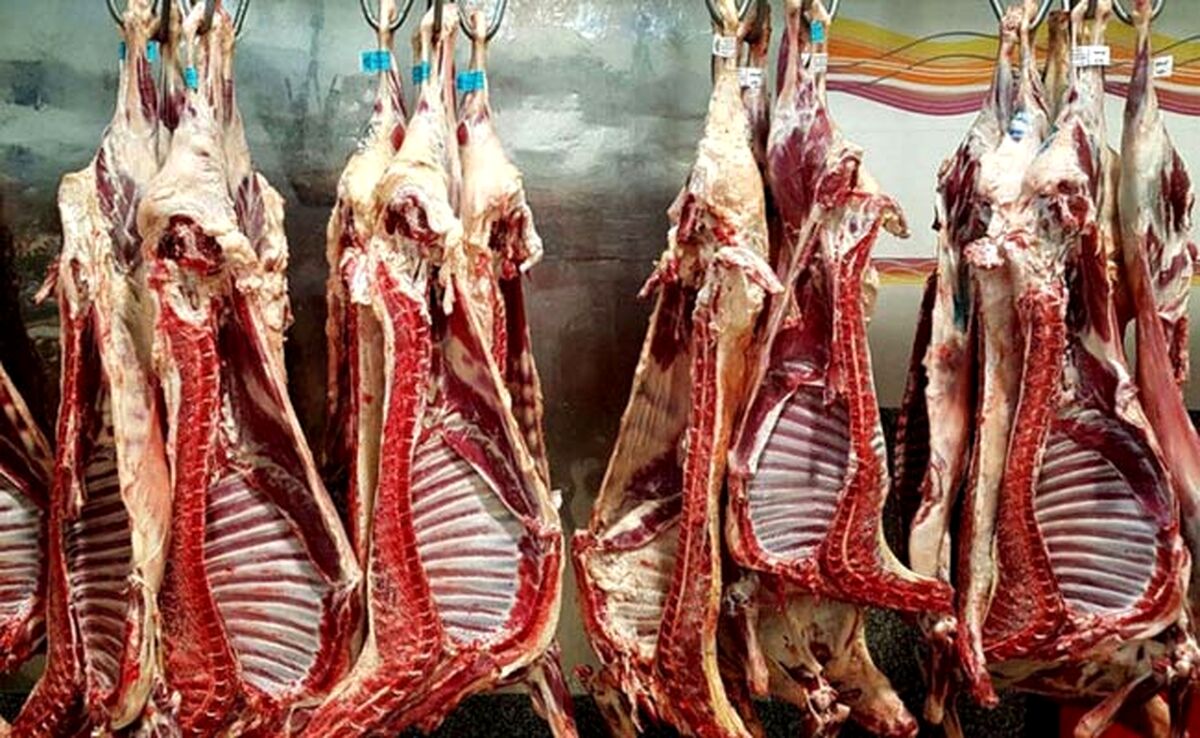 ۳۰ درصد واردات گوشت به گوشت گرم اختصاص دارد

