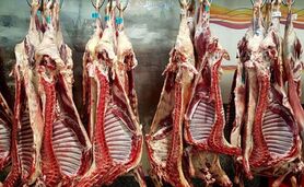 ۳۰ درصد واردات گوشت به گوشت گرم اختصاص دارد

