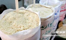 آشفتگی در بازار برنج؛ چگونه تصمیمات شبانه دولت سفره مردم را کوچک کرد؟