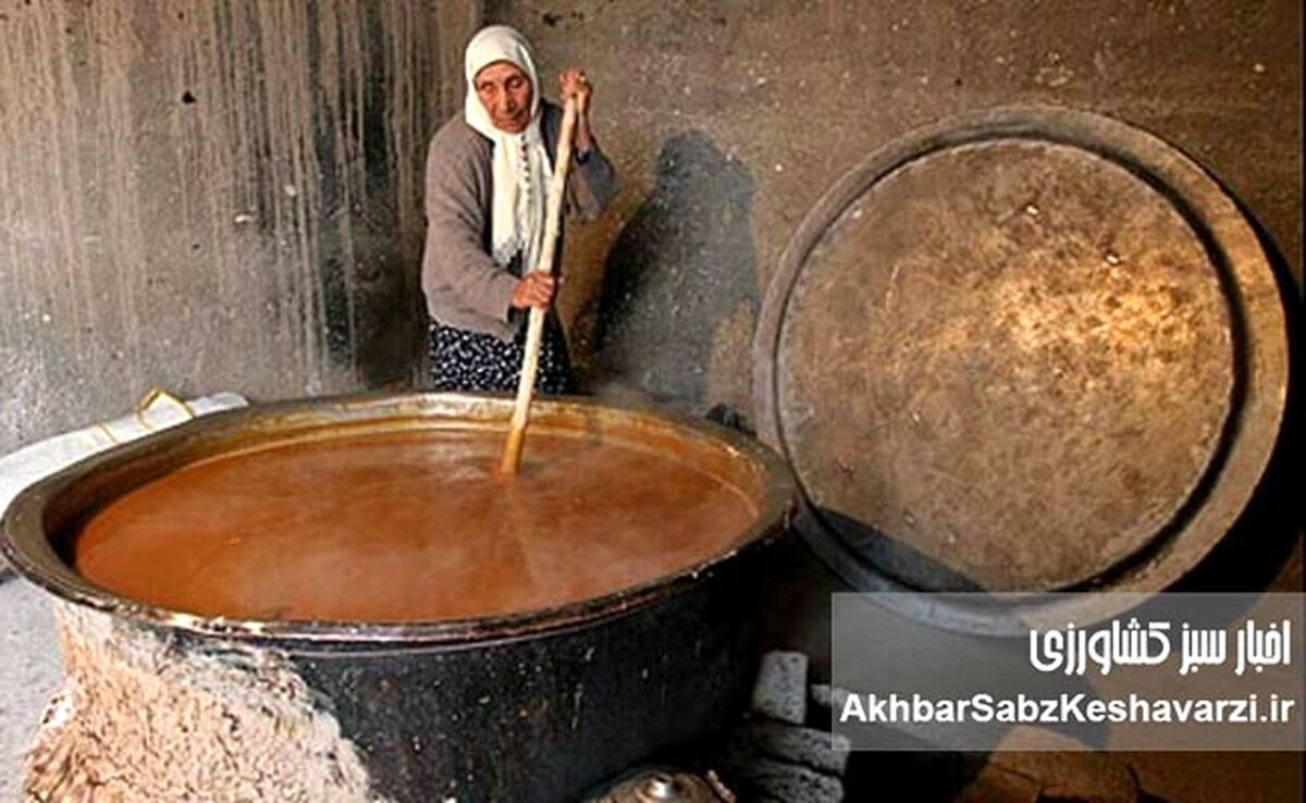 وقتی سمنوی ایران خاموش ماند؛ سمنوپزان تاجیکستان جهانی شد