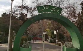 اعمال نفوذ برای قطع شبانه درختان

