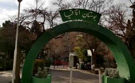 اعمال نفوذ برای قطع شبانه درختان

