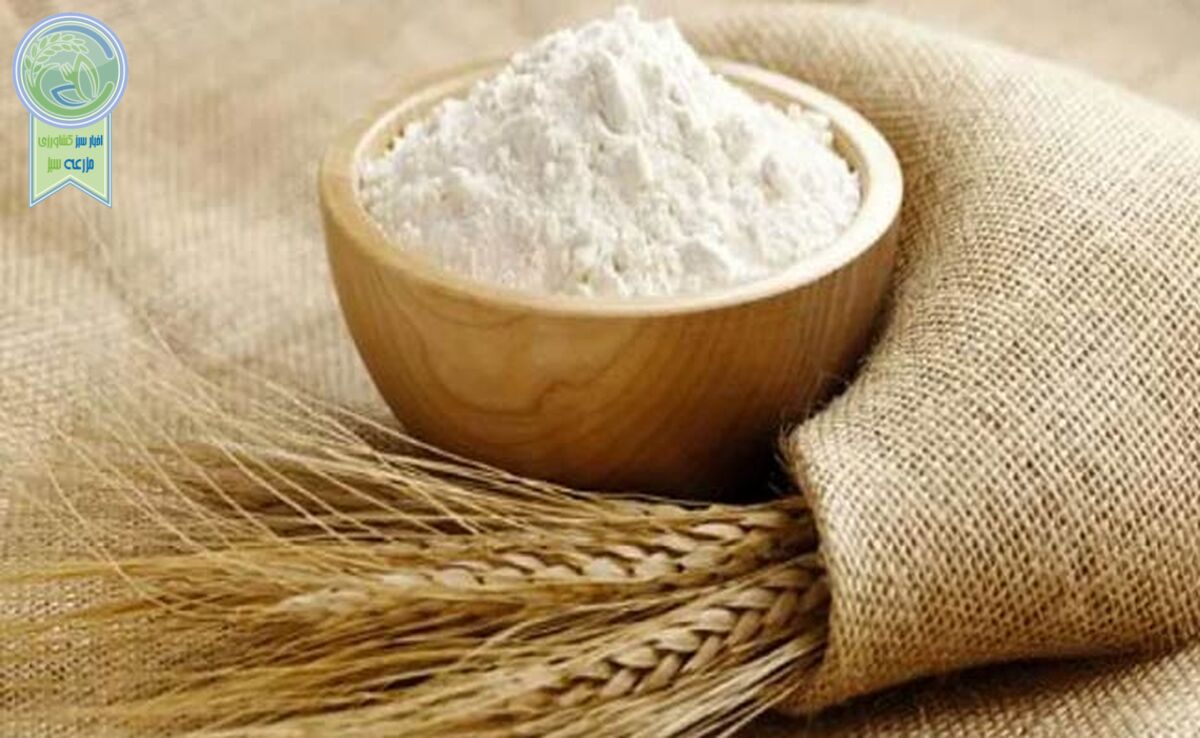 بحران خاموش گندم در روز ملی نان: چرا سفره ایرانی کوچک می‌شود؟