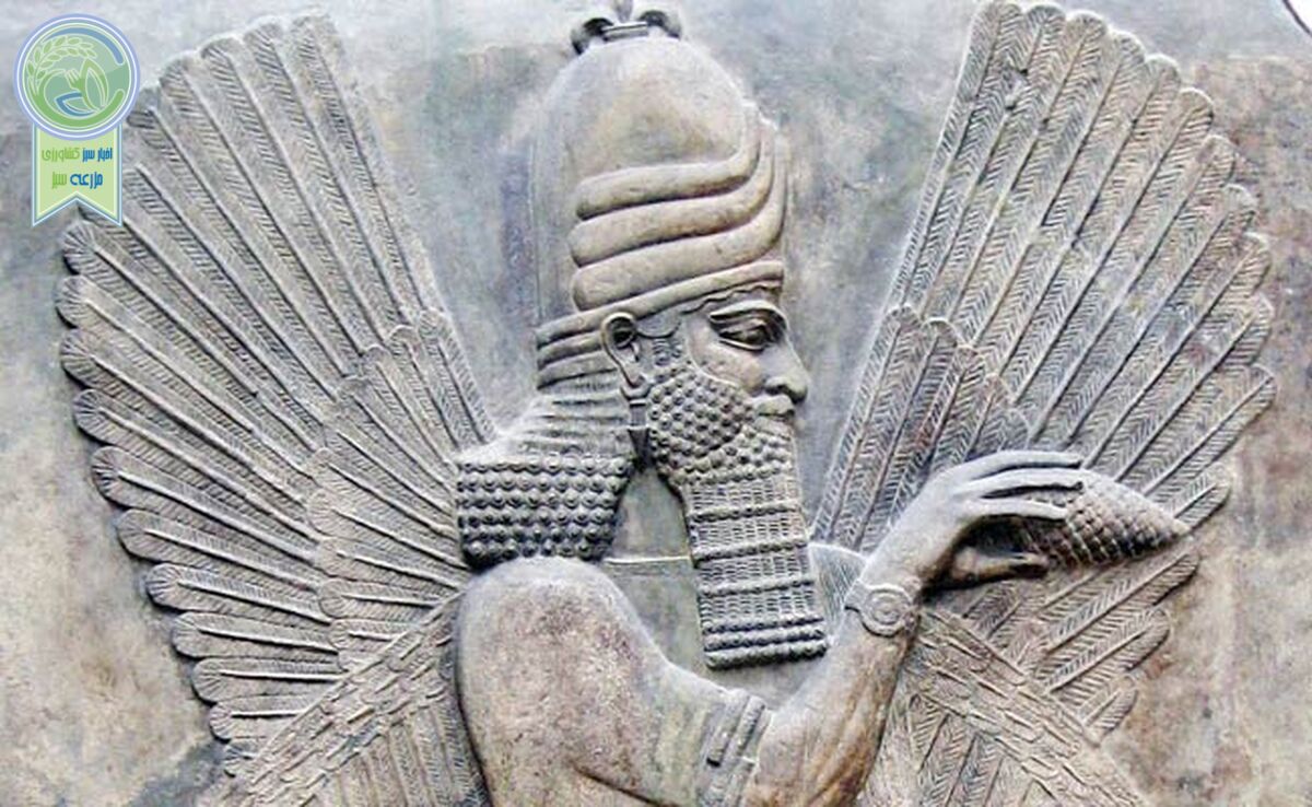 خاورمیانه یعنی اسطوره

