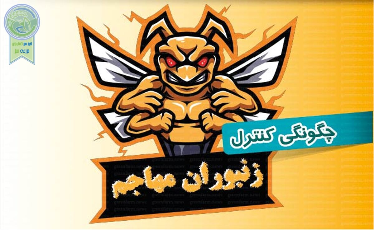 چگونگی کنترل زنبوران مهاجم

