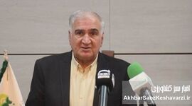 نقش کلیدی کشاورزی ارگانیک در مقابله با تغییرات اقلیمی؛ راهبردی برای آینده سبز 