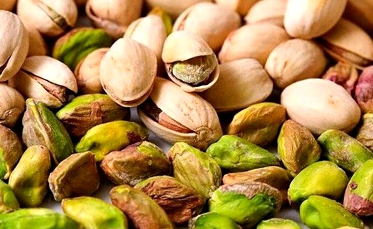 پیش بینی تولید ۳۰۰ هزار تن پسته در سال جاری

