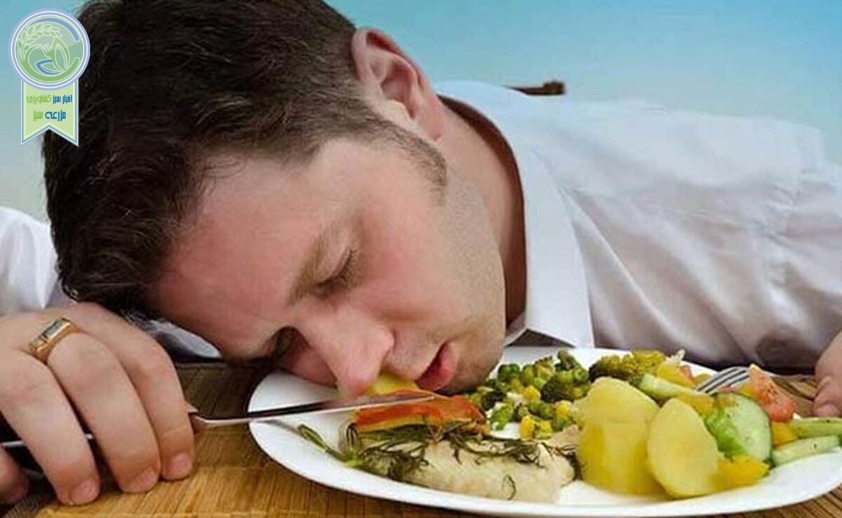 غذاهای خواب‌آور را بشناسید

