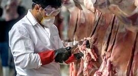 دامپزشکان حافظان محیط‌زیست

