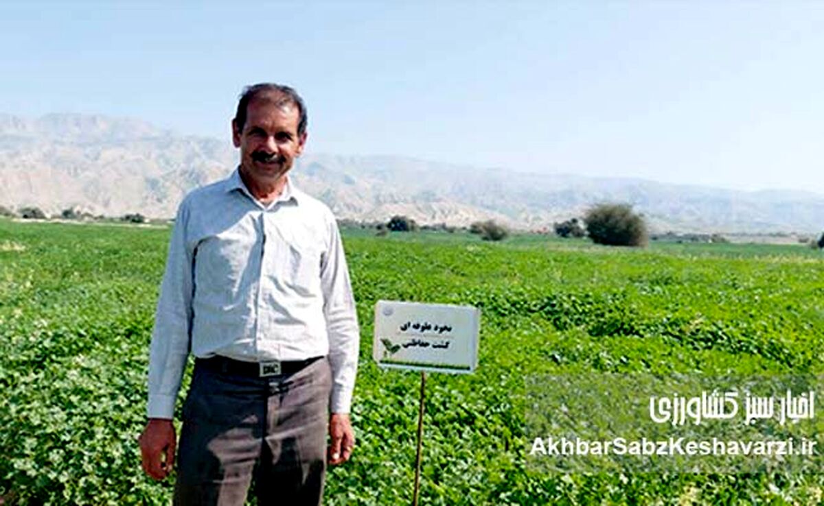 وقتی خاک نفس می‌کشد؛ کشاورزی حفاظتی نخود و گندم در بوشهر