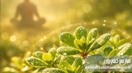 گیاه خرفه؛ گنج پنهان طبیعت برای کنترل استرس