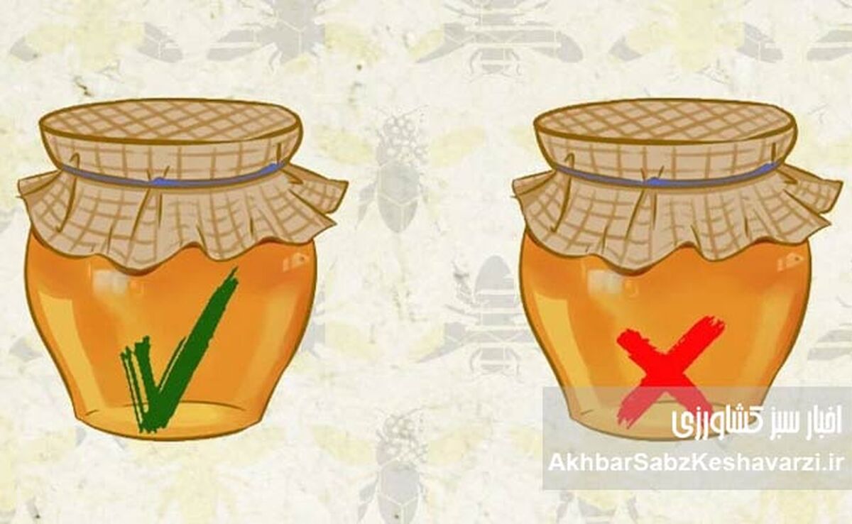 عسل طبیعی در برابر عسل کارخانه‌ای: کدام شیرینی، گنجینه سلامتی شماست؟