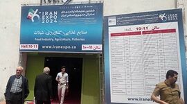 استقبال گسترده مقامات و هیات‌های تجاری از اکسپو 2024+ عکس

