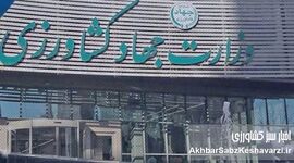 سقف قیمتی وزارت جهاد برای برنج، چای و گندم چیست؟
