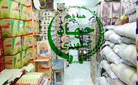 نهاد مشورتی یا هفت تیر کشی+ ویدئو
