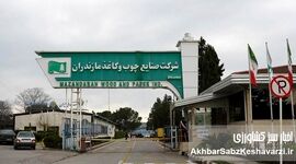 طرح تنفس جنگل؛ چالشی بزرگ بر سر راه صنعت سبز مازندران و ایران