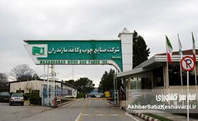 طرح تنفس جنگل؛ چالشی بزرگ بر سر راه صنعت سبز مازندران و ایران