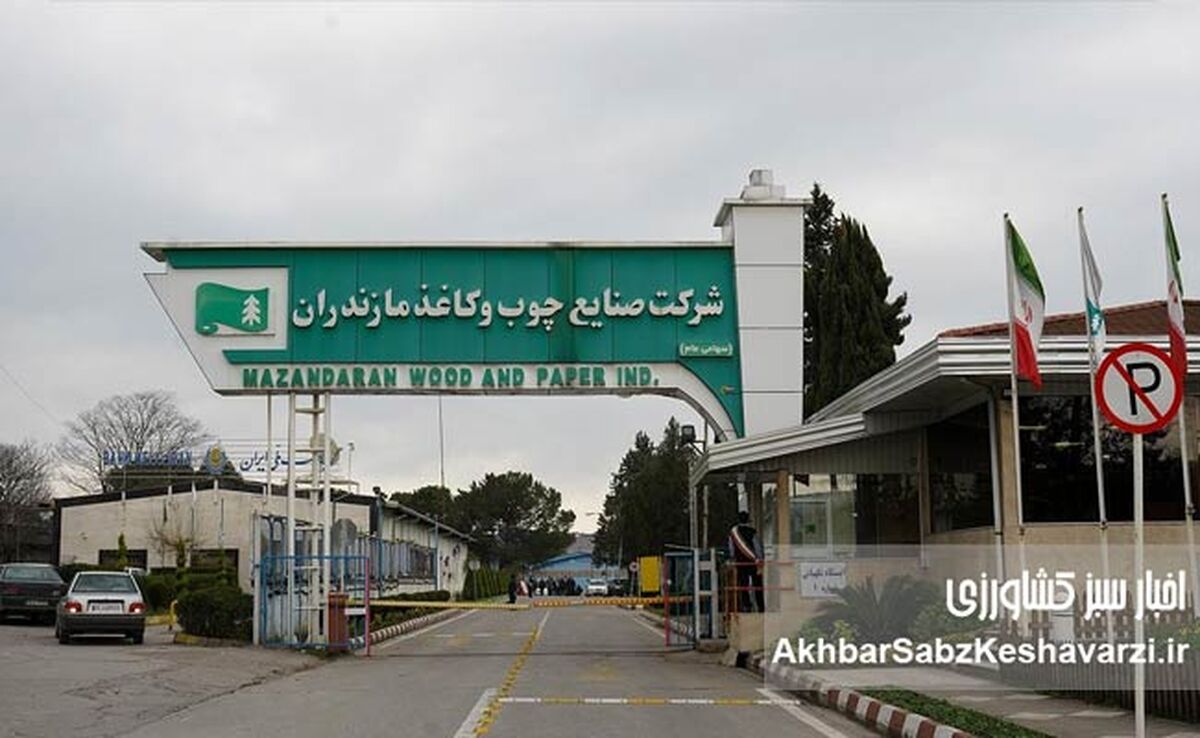 طرح تنفس جنگل؛ چالشی بزرگ بر سر راه صنعت سبز مازندران و ایران