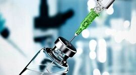 تولید 50 میلیارد دوز واکسن در حوزه طیور طی 23 سال اخیر

