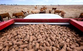 قیمت نهاده های دامی و محصولات کشاورزی ۱۳ آذر ۱۴۰۳+ جدول

