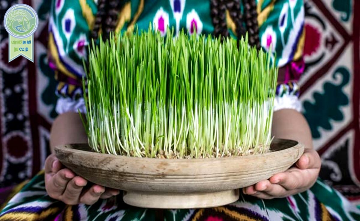نوروز، فراتر از یک جشن بهاری و پیام‌آور صلح و دوستی

