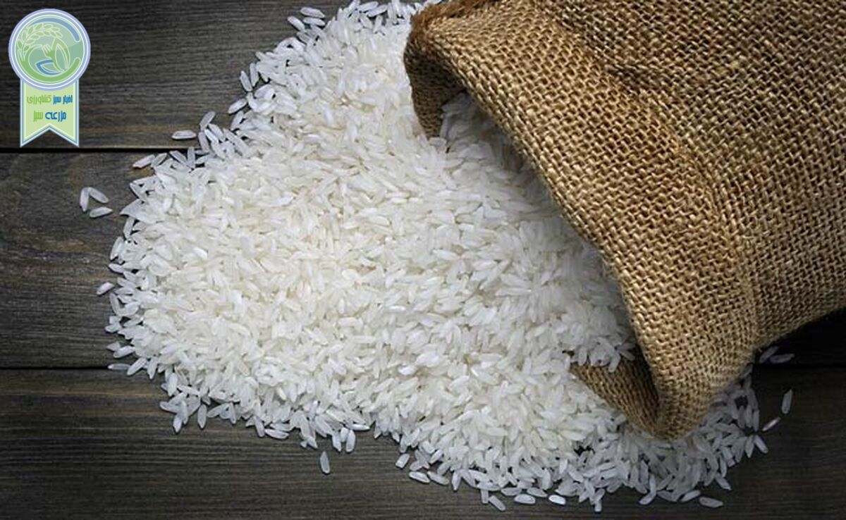 بلاتکلیفی تخصیص ارز قیمت برنج ایرانی را افزایش داد

