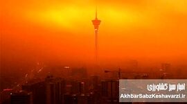 شرمندگی معاون وزیر بهداشت از عملکردها درباره آلودگی هوا؛ ۵۸ هزار مرگ در سال کم نیست