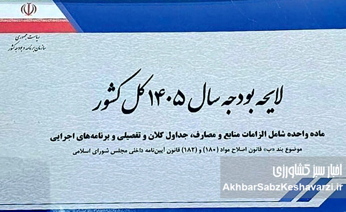 نبرد بر سر نان؛ ۲۰۰ همت اعتبار اضافه شد، اما آیا مسئله حل شد؟