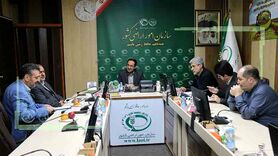 حفظ اراضی کشاورزی در گرو حمایت از روستاها

