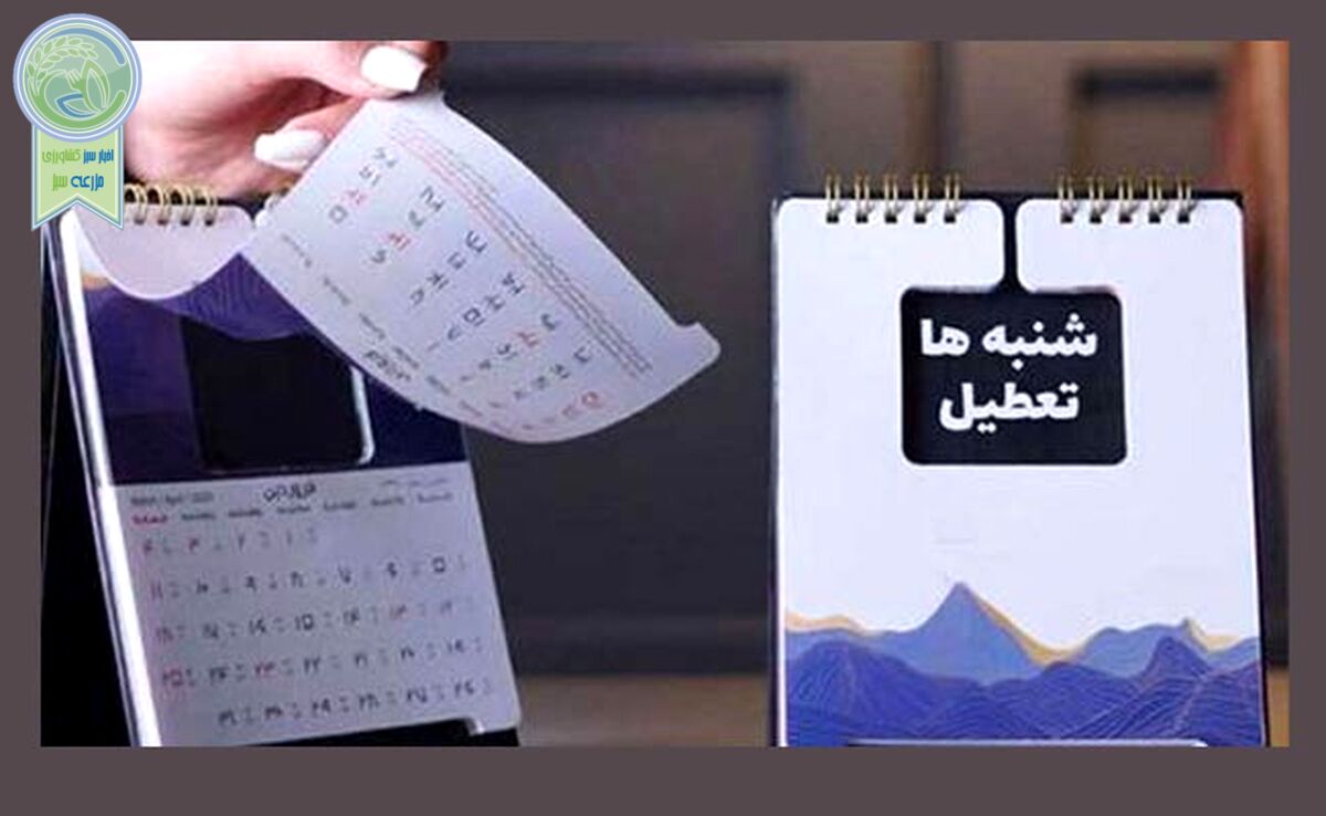 آیا دولت از تصمیم خود درباره تعطیلی آخر هفته برگشت؟

