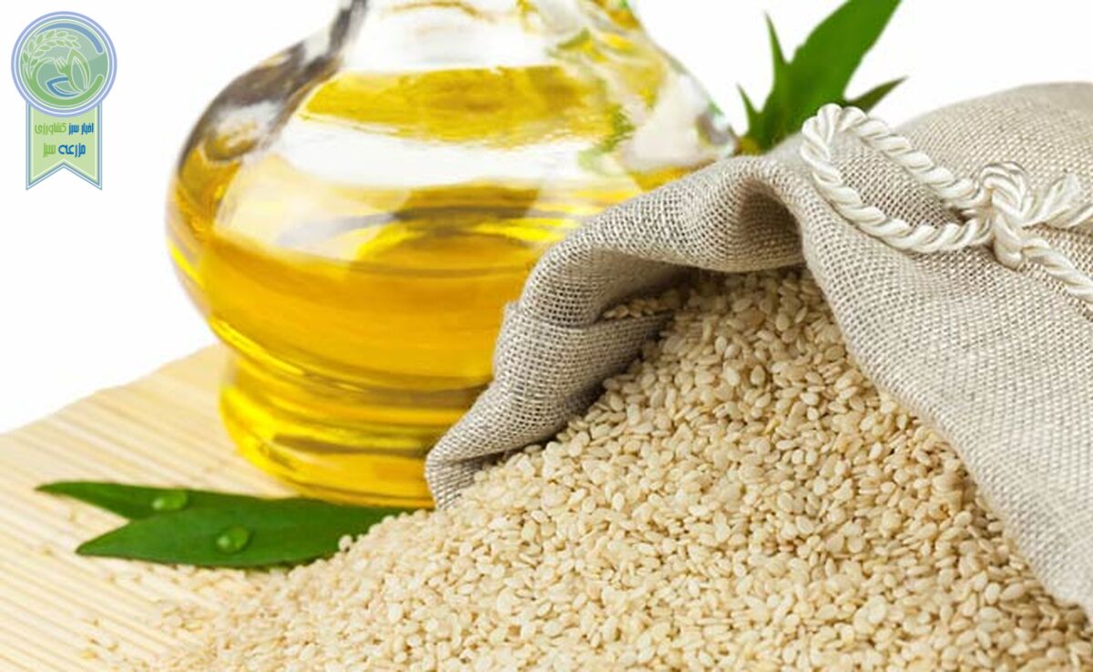 ۸۴ هزارتن دانه‌ روغنی خریداری شد

