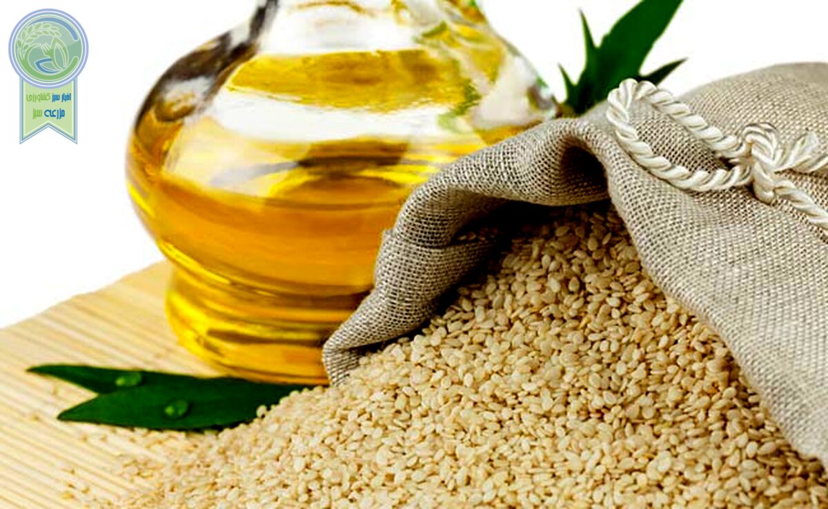 ۸۴ هزارتن دانه‌ روغنی خریداری شد

