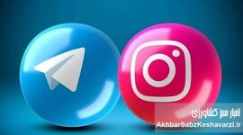 اختلال یا پیام پنهان؟ رفع ۳۰ دقیقه‌ای فیلترینگ تلگرام و اینستاگرام