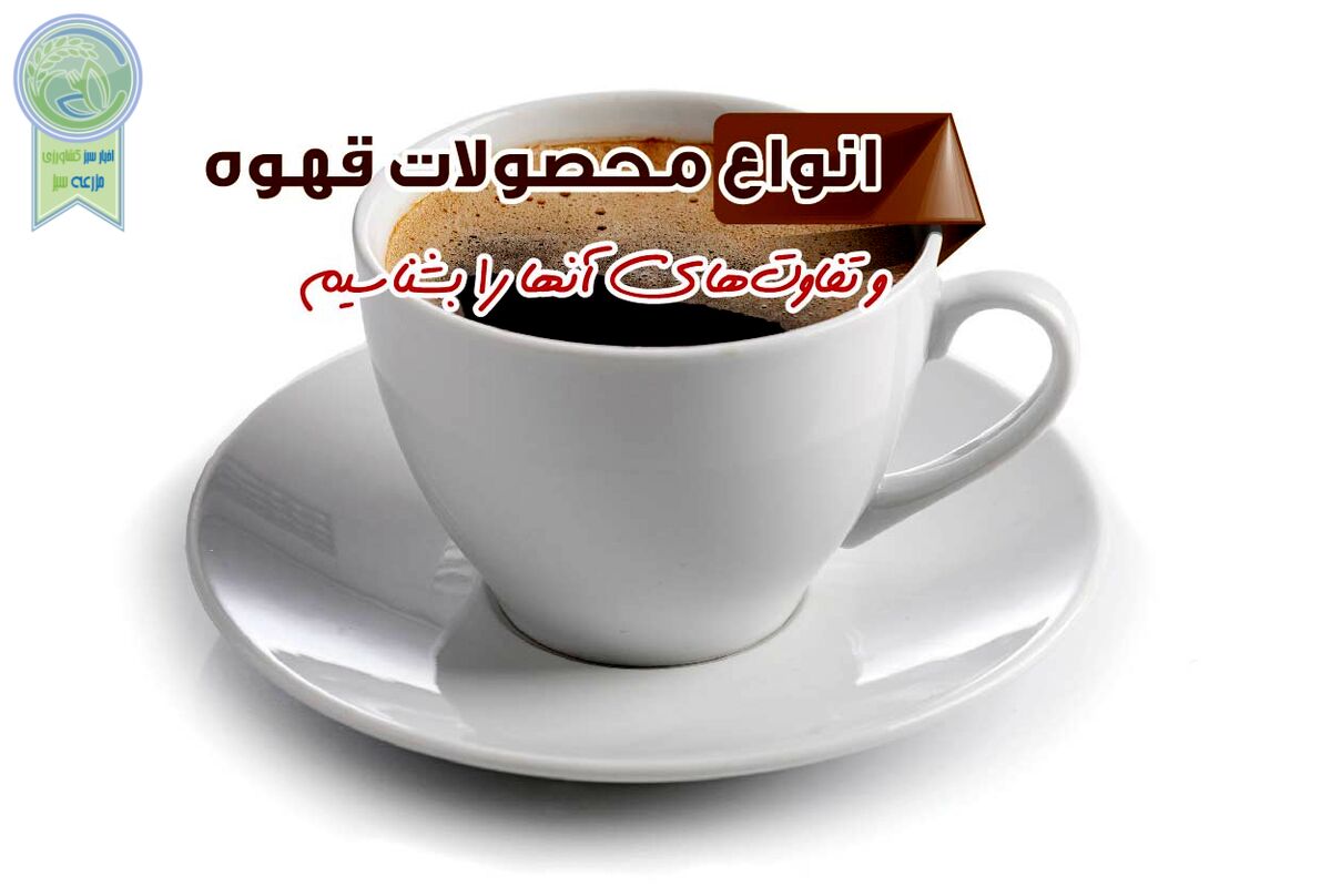 انواع محصولات قهوه و تفاوت‌های آنها را بشناسیم

