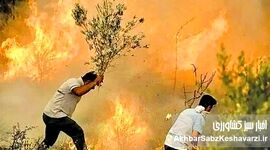 آتش‌ زاگرس؛ شعله‌هایی که جان می‌گیرد، نهال‌هایی که شعارند!
