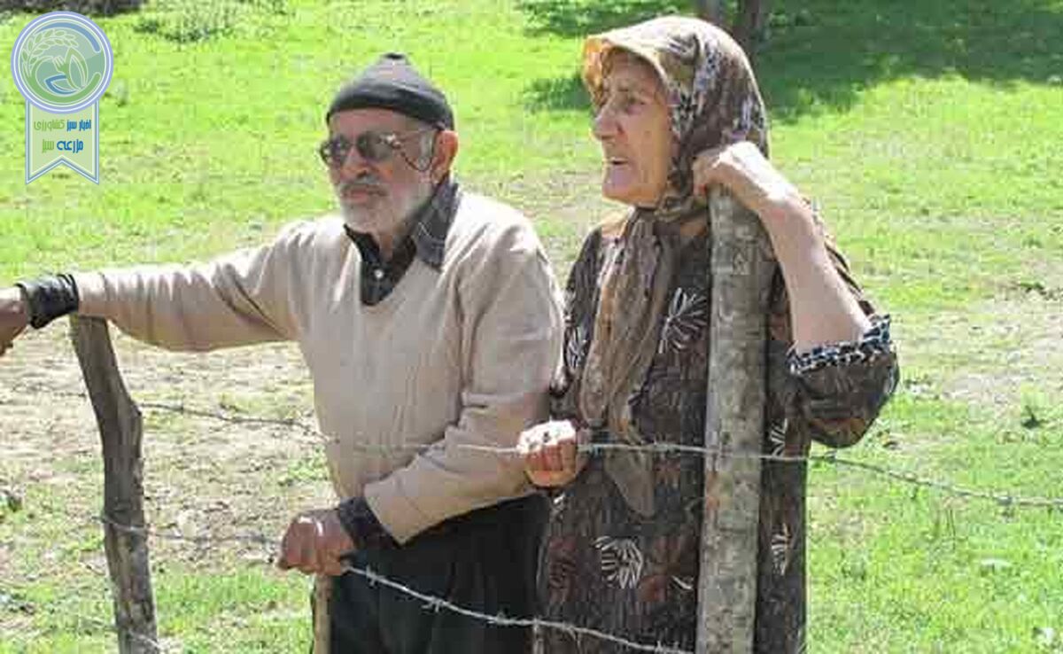 سالمندان و امنیت پایین اقتصادی