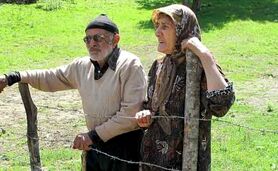 سالمندان و امنیت پایین اقتصادی