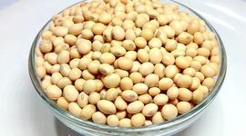 مصرف سویا چه خطراتی دارد؟ نکات مهم درباره عوارض مصرف بی‌رویه سویا

