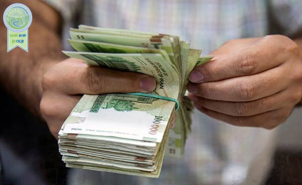  حذف یارانه ۱۸ میلیون ایرانی؛ صرفه‌جویی ۵۴۰۰ میلیارد تومانی دولت
