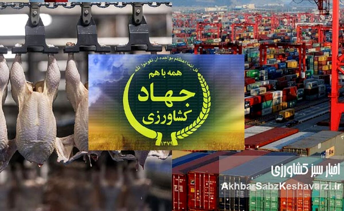 تصمیم جنجالی وزارت جهاد کشاورزی: عوارض واردات کالای آماده مصرف کاهش یافت؛ دولت ضد تولید؟ 