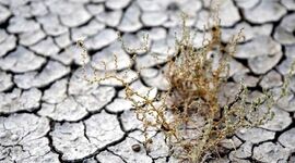 فرسایش خاک بلای جان کشاورزی

