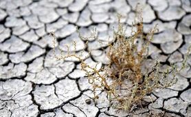 فرسایش خاک بلای جان کشاورزی

