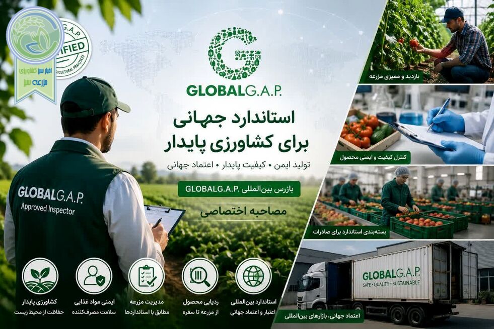 GLOBALG.A.P؛ کلید طلایی توسعه صادرات محصولات کشاورزی هرمزگان به بازارهای جهانی