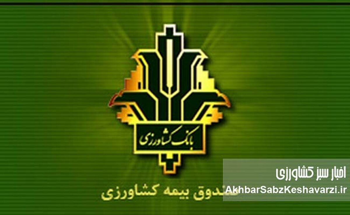 خبر خوب برای گندمکاران؛ غرامت‌ها ۱۴۰٪ بیشتر شد، بیمه هم فراگیرتر