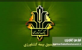 خبر خوب برای گندمکاران؛ غرامت‌ها ۱۴۰٪ بیشتر شد، بیمه هم فراگیرتر