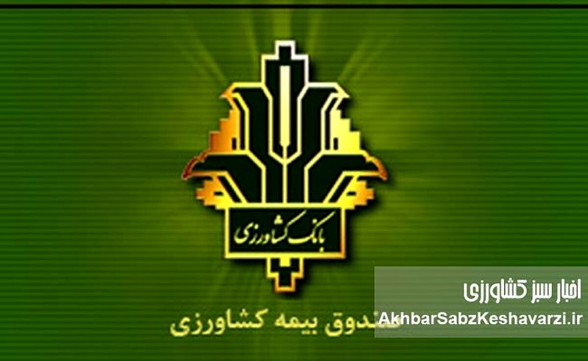 خبر خوب برای گندمکاران؛ غرامت‌ها ۱۴۰٪ بیشتر شد، بیمه هم فراگیرتر