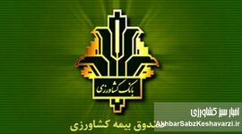 خبر خوب برای گندمکاران؛ غرامت‌ها ۱۴۰٪ بیشتر شد، بیمه هم فراگیرتر